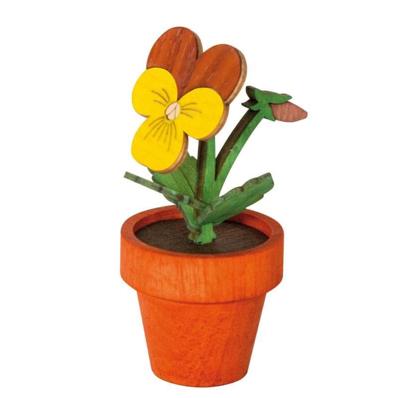 Stiefmütterchen groß