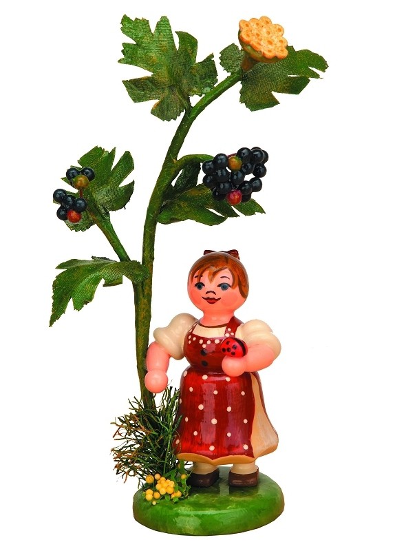 Hubrig - Herbstkinder Holunder