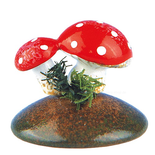 Hubrig - Glückspilze