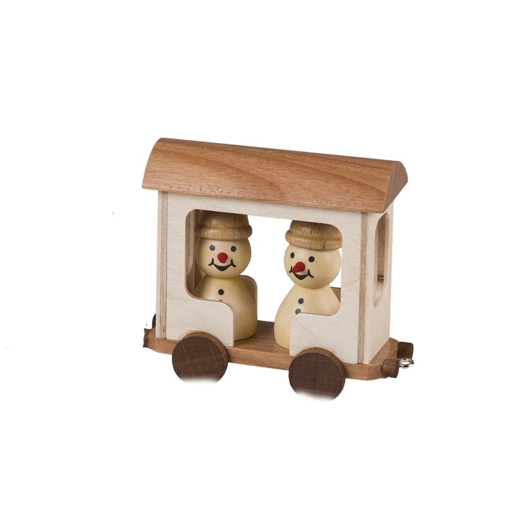 Waggon einzeln