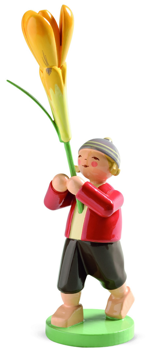 Junge mit Krokus