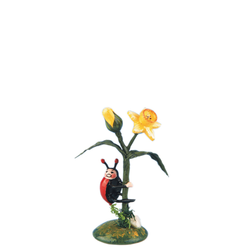 Hubrig - Marienkäfer mit Narzisse