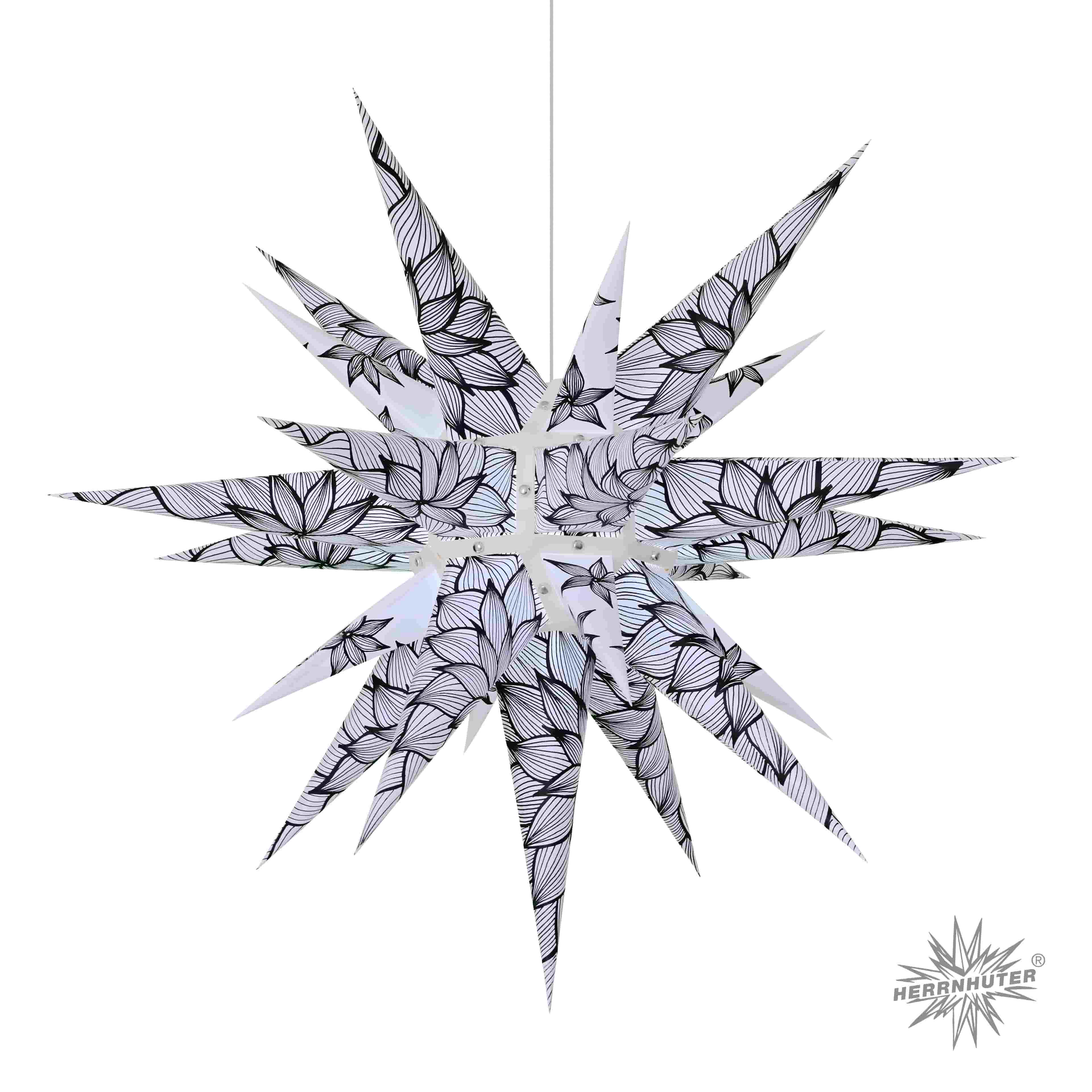 Original Herrnhuter Stern für innen ø ca. 60 cm Grafische Dahlie (I6) Edition Natur inkl. Beleuchtung